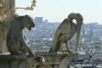 PICTURES/Paris - The Towers of Notre Dame/t_Gargoyle Bird2.JPG
